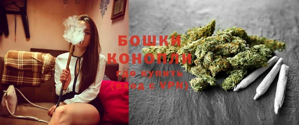 прущие грибы Карпинск