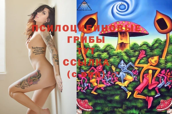 эйфоретик Абинск