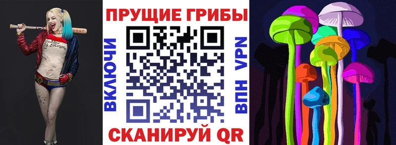 цены наркотик  Тында  Псилоцибиновые грибы Magic Shrooms 